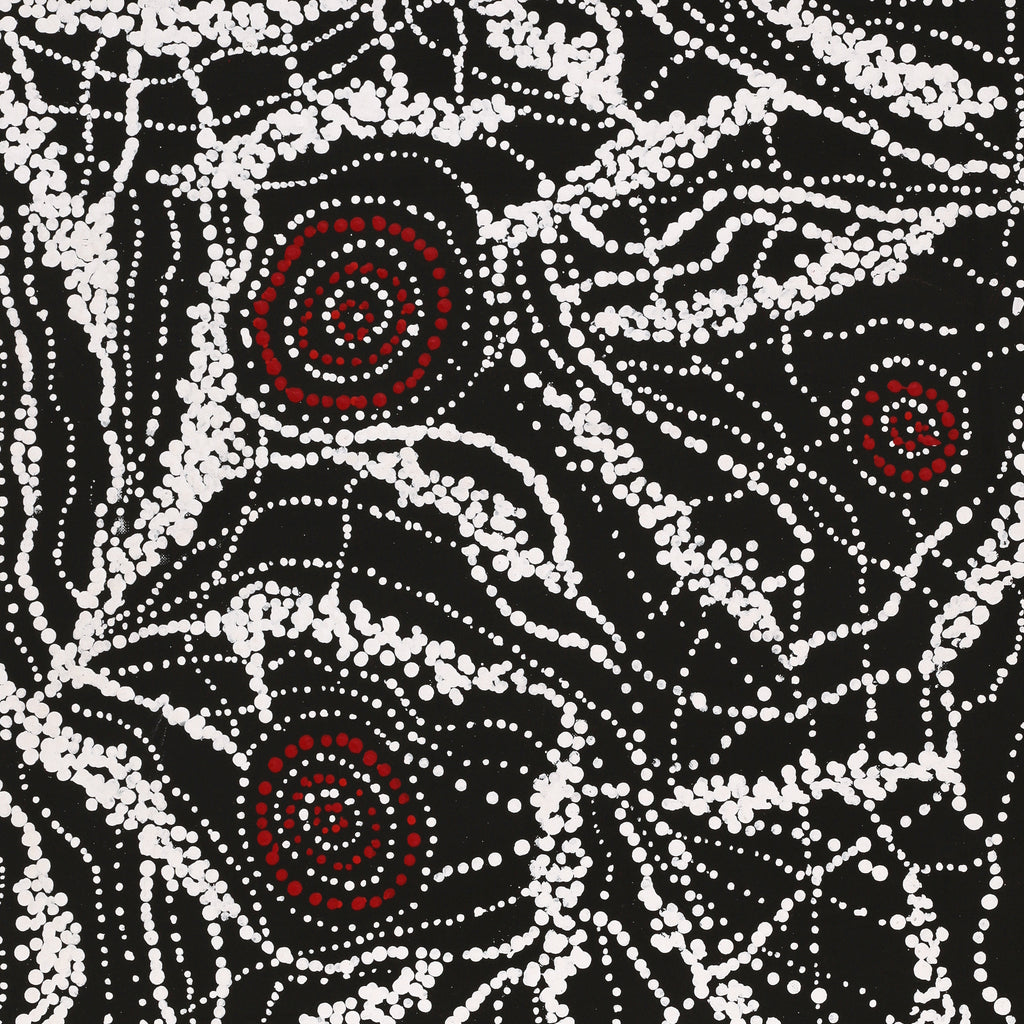 Aboriginal Artwork by Sabrina Napangardi Granites, Mina Mina Jukurrpa, 76x61cm