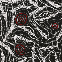 Aboriginal Artwork by Sabrina Napangardi Granites, Mina Mina Jukurrpa, 76x61cm