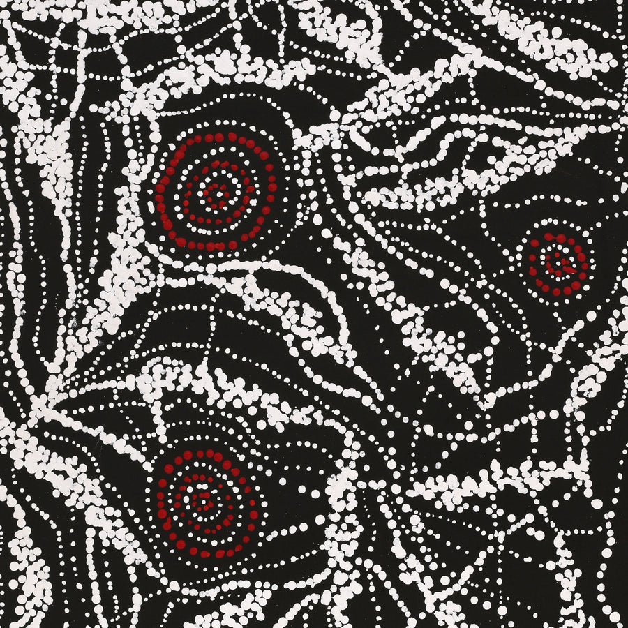 Aboriginal Artwork by Sabrina Napangardi Granites, Mina Mina Jukurrpa, 76x61cm