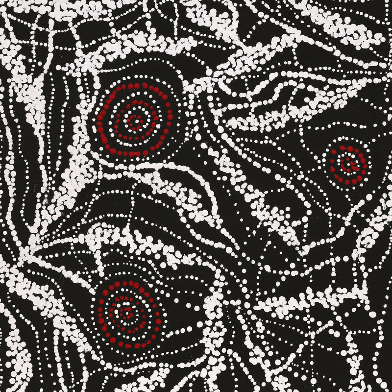 Aboriginal Art by Sabrina Napangardi Granites, Mina Mina Jukurrpa, 76x61cm - ART ARK®