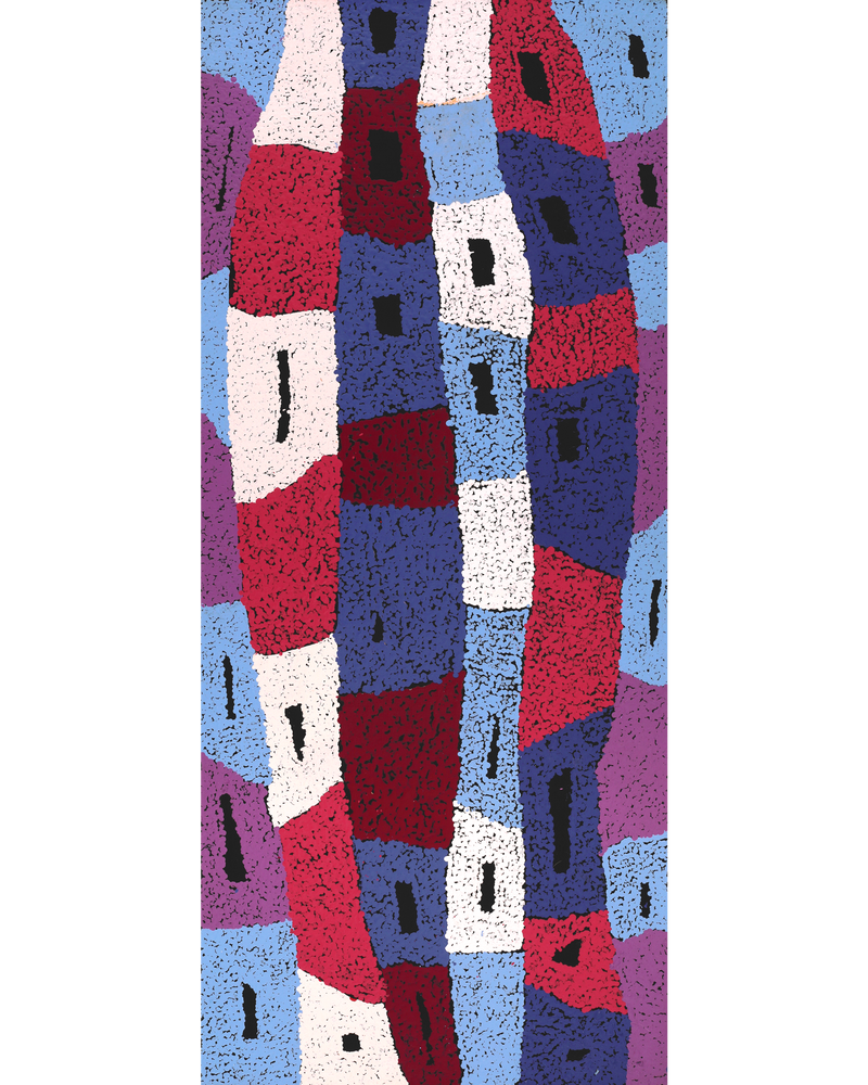 Aboriginal Artwork by Sadie Nakamarra Padoon, Nguru Nyirrpi-wana (Country around Nyirrpi), 107x46cm