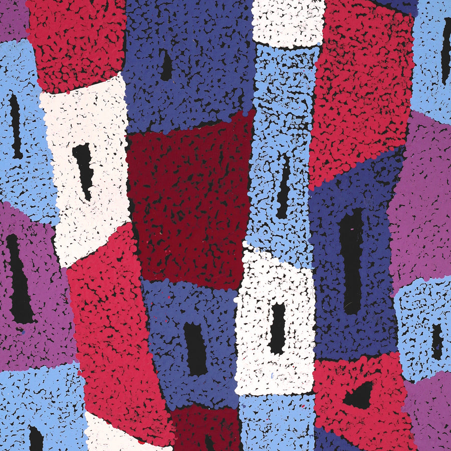 Aboriginal Artwork by Sadie Nakamarra Padoon, Nguru Nyirrpi-wana (Country around Nyirrpi), 107x46cm