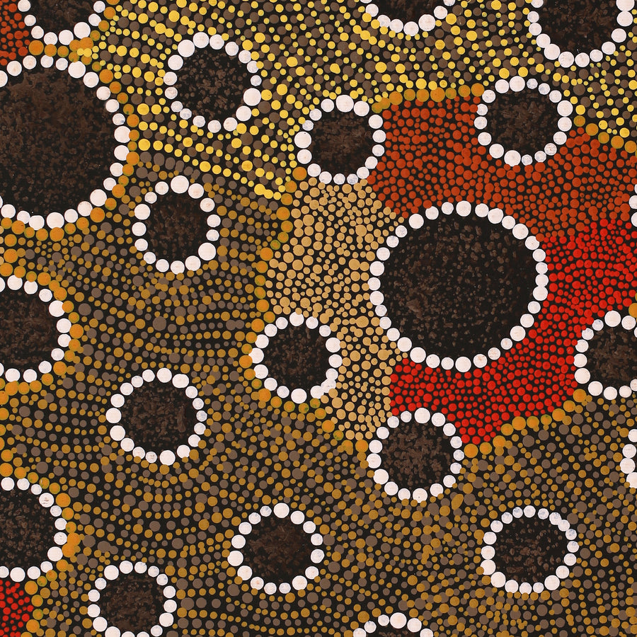 Aboriginal Artwork by Samantha Napurrurla Wilson, Wanakiji Jukurrpa (Bush Tomato Dreaming), 50x40cm