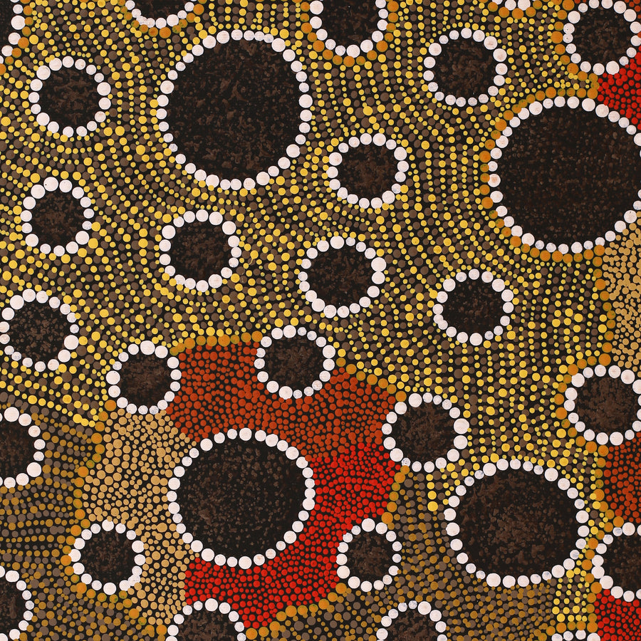 Aboriginal Artwork by Samantha Napurrurla Wilson, Wanakiji Jukurrpa (Bush Tomato Dreaming), 50x40cm