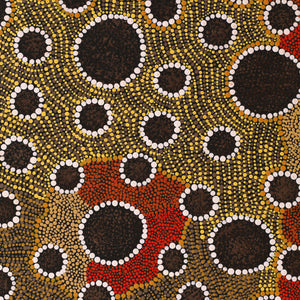 Aboriginal Artwork by Samantha Napurrurla Wilson, Wanakiji Jukurrpa (Bush Tomato Dreaming), 50x40cm - ART ARK®