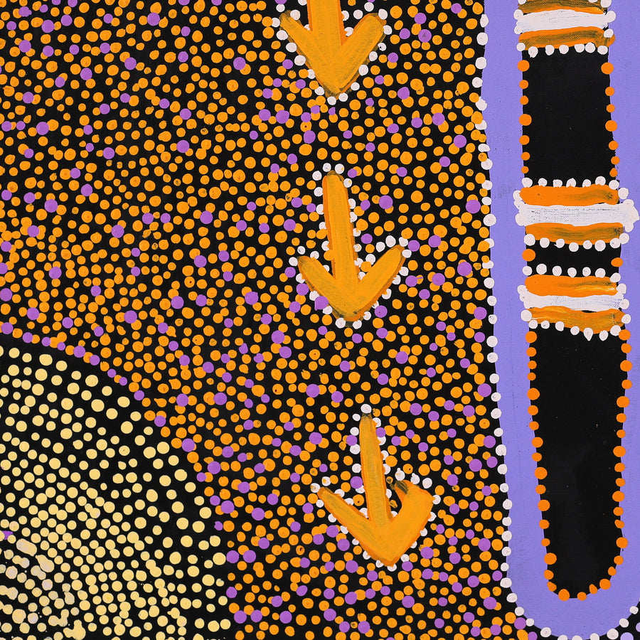 Aboriginal Artwork by Samuel Jampijinpa Collins, Yankirri Jukurrpa (Emu Dreaming), 61x61cm