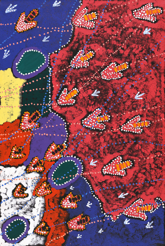 Aboriginal Art by Samuel Jampijinpa Collins, Yankirri Jukurrpa (Emu Dreaming), 91x61cm - ART ARK®