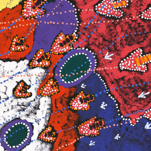 Aboriginal Artwork by Samuel Jampijinpa Collins, Yankirri Jukurrpa (Emu Dreaming), 91x61cm - ART ARK®