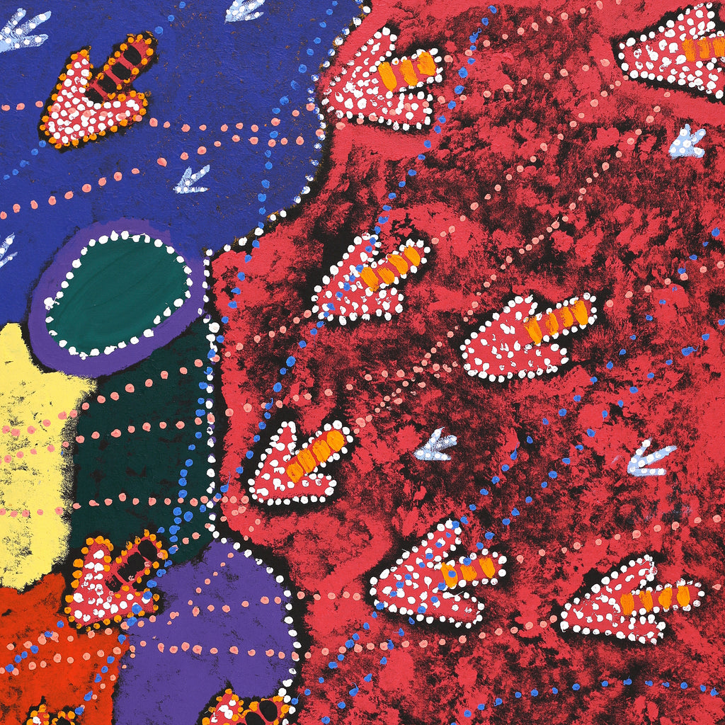 Aboriginal Art by Samuel Jampijinpa Collins, Yankirri Jukurrpa (Emu Dreaming), 91x61cm - ART ARK®