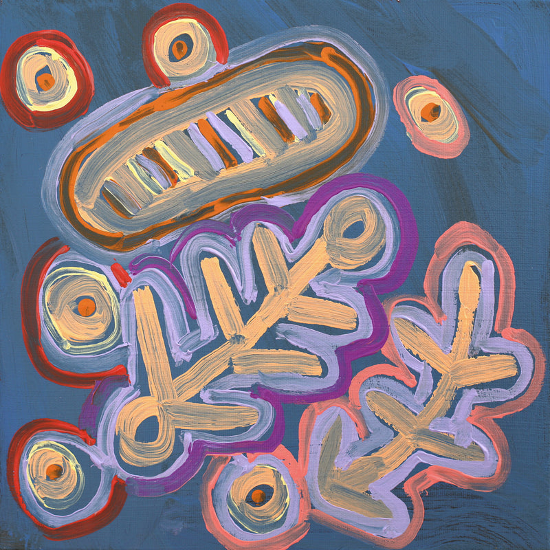 Aboriginal Artwork by Saraeva Napangardi Marshall, Mina Mina Dreaming - Ngalyipi, 30x30cm