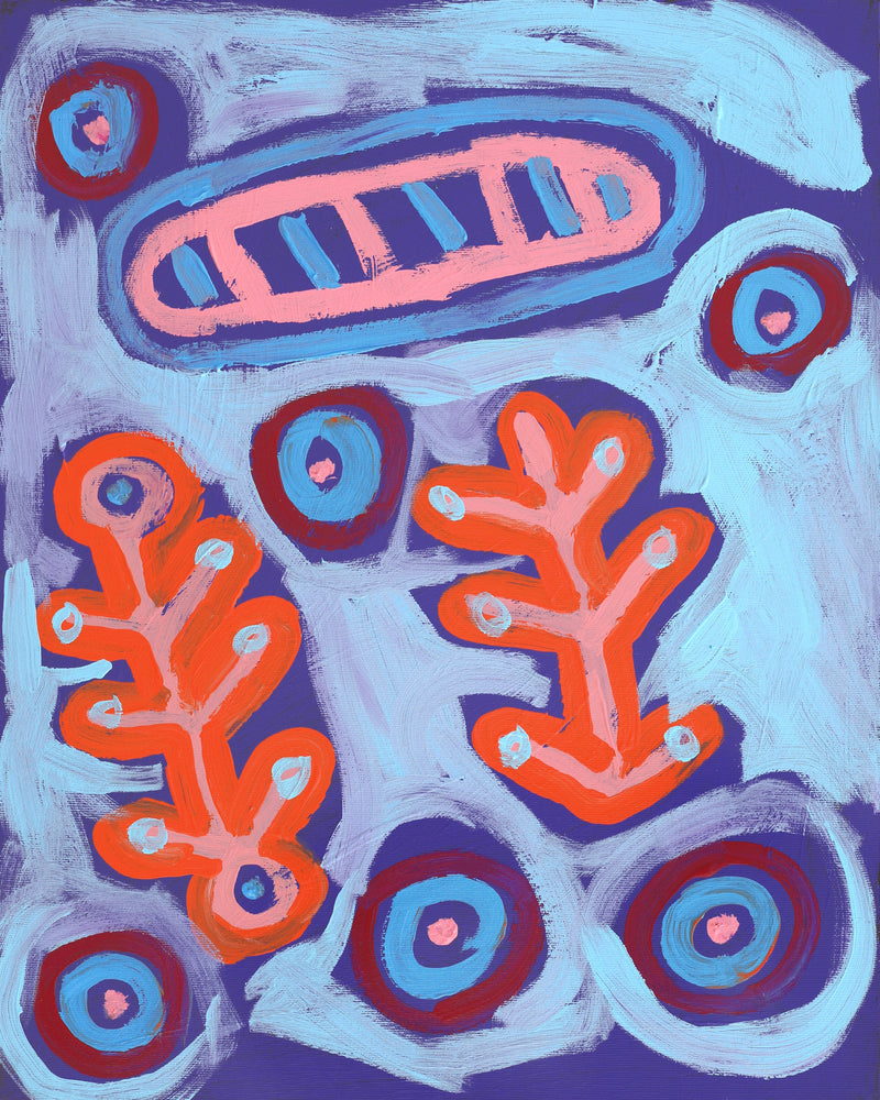 Aboriginal Artwork by Saraeva Napangardi Marshall, Mina Mina Dreaming - Ngalyipi, 50x40cm