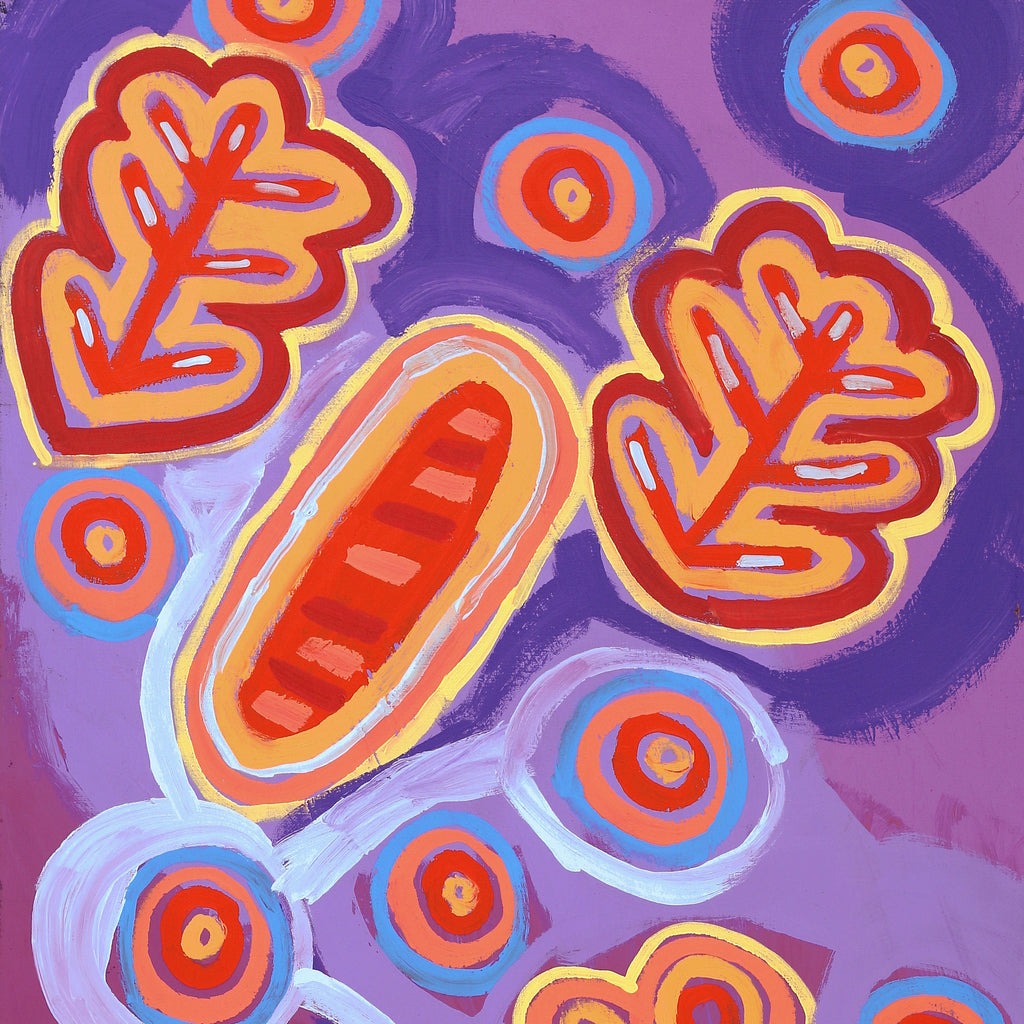 Aboriginal Art by Saraeva Napangardi Marshall, Mina Mina Dreaming, 152x61cm - ART ARK®