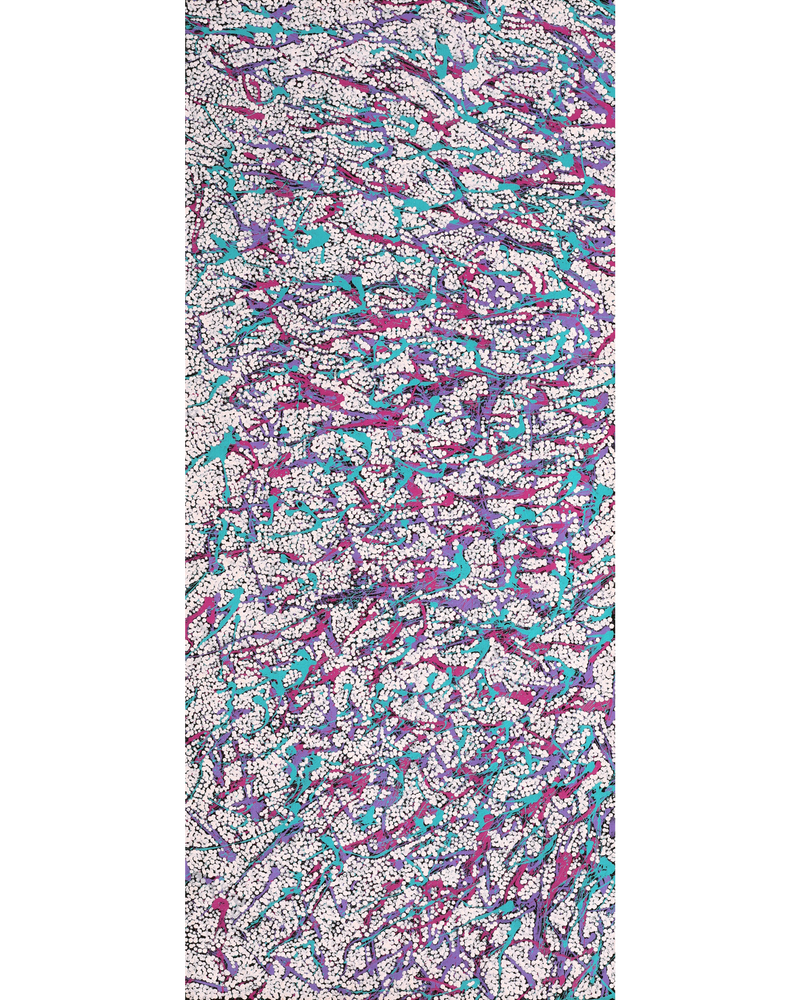 Aboriginal Artwork by Sarah-Jane Nampijinpa Singleton, Yankirri Jukurrpa (Emu Dreaming) - Ngarlikirlangu, 107x46cm