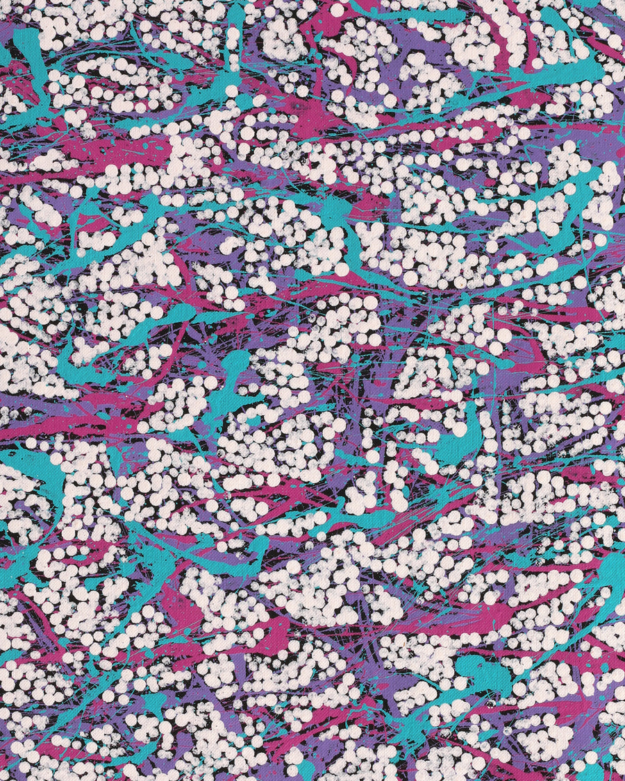 Aboriginal Artwork by Sarah-Jane Nampijinpa Singleton, Yankirri Jukurrpa (Emu Dreaming) - Ngarlikirlangu, 107x46cm