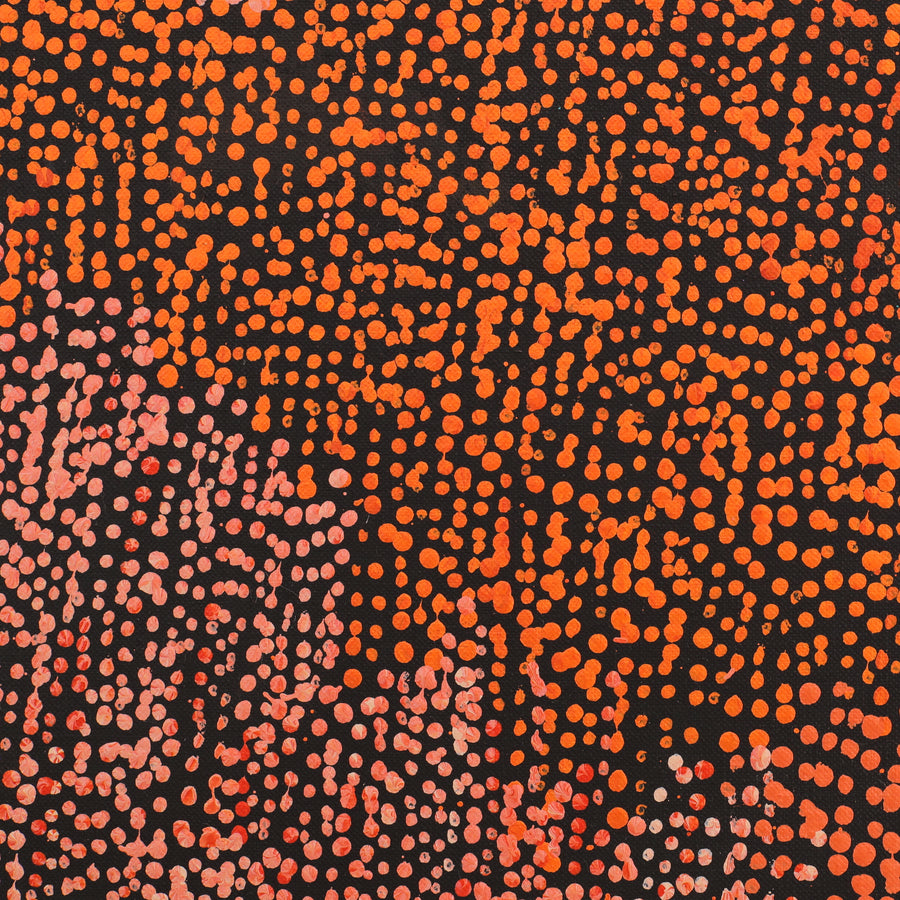 Aboriginal Artwork by Sarah Napurrurla Leo, Ngapa Jukurrpa (Water Dreaming) - Puyurru, 122x122cm