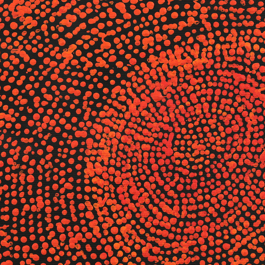 Aboriginal Artwork by Sarah Napurrurla Leo, Ngapa Jukurrpa (Water Dreaming) - Puyurru, 30x30cm