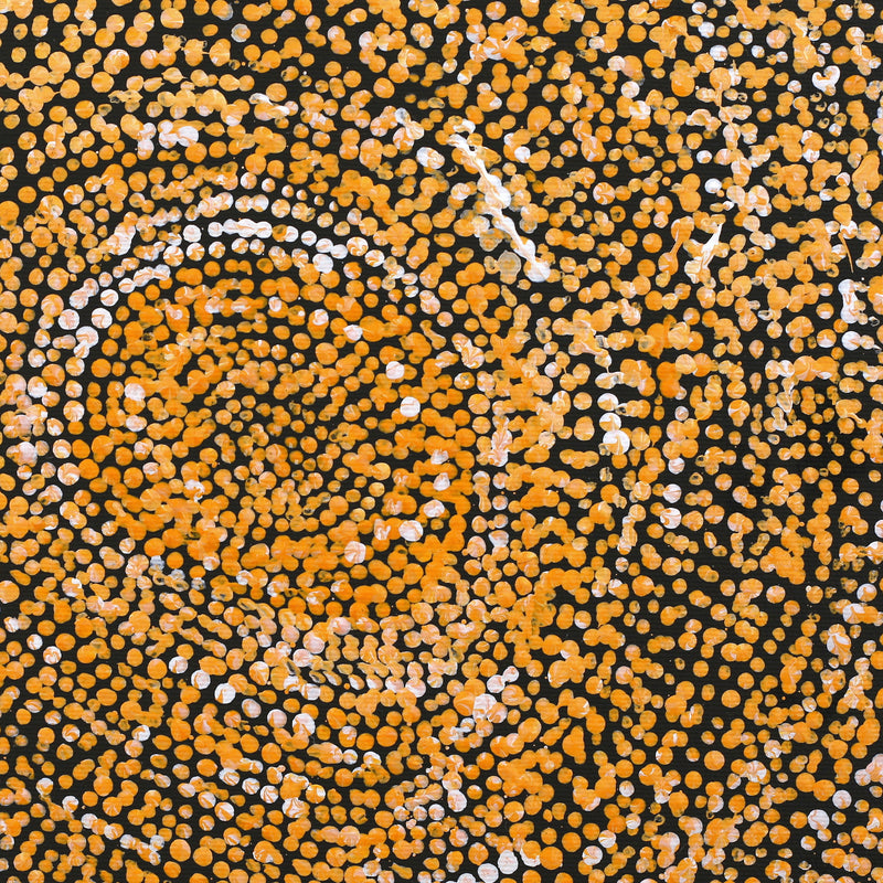 Aboriginal Artwork by Sarah Napurrurla Leo, Ngapa Jukurrpa (Water Dreaming) - Puyurru, 30x30cm