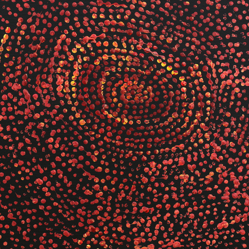 Aboriginal Artwork by Sarah Napurrurla Leo, Ngapa Jukurrpa (Water Dreaming) - Puyurru, 30x30cm