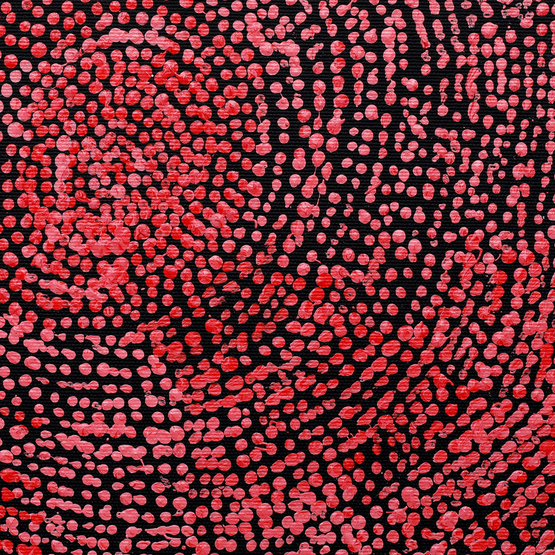 Aboriginal Artwork by Sarah Napurrurla Leo, Ngapa Jukurrpa (Water Dreaming) - Puyurru, 30x30cm