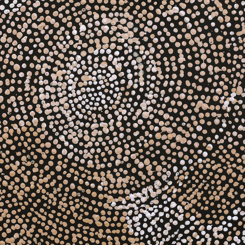 Aboriginal Artwork by Sarah Napurrurla Leo, Ngapa Jukurrpa (Water Dreaming) - Puyurru, 30x30cm
