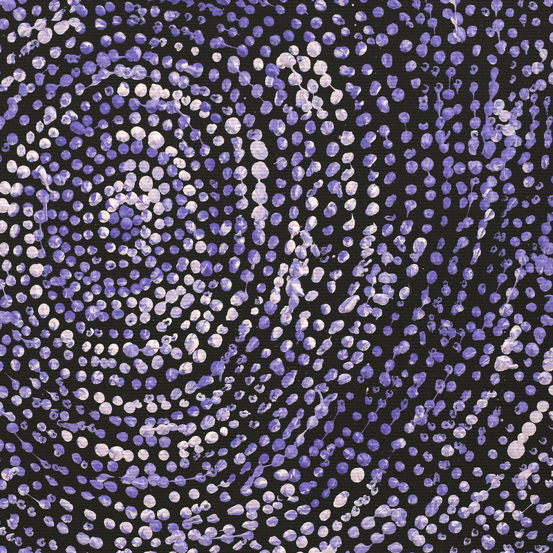 Aboriginal Artwork by Sarah Napurrurla Leo, Ngapa Jukurrpa (Water Dreaming) - Puyurru, 30x30cm
