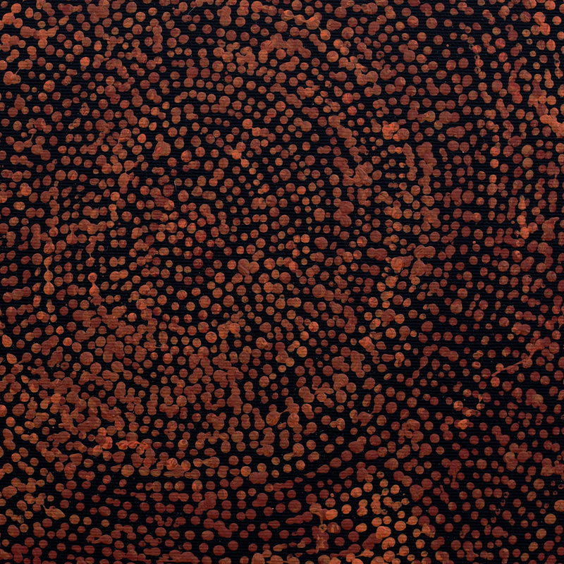 Aboriginal Artwork by Sarah Napurrurla Leo, Ngapa Jukurrpa (Water Dreaming) - Puyurru, 30x30cm