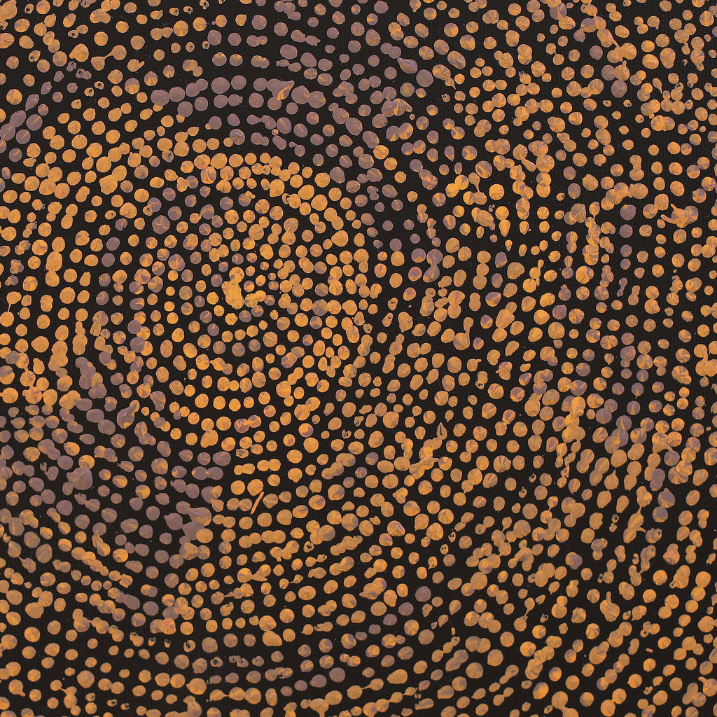 Aboriginal Artwork by Sarah Napurrurla Leo, Ngapa Jukurrpa (Water Dreaming) - Puyurru, 30x30cm