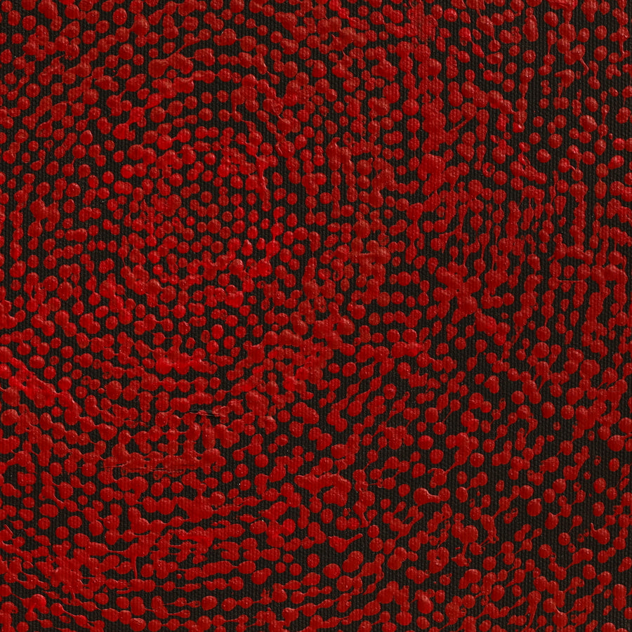 Aboriginal Artwork by Sarah Napurrurla Leo, Ngapa Jukurrpa (Water Dreaming) - Puyurru, 30x30cm