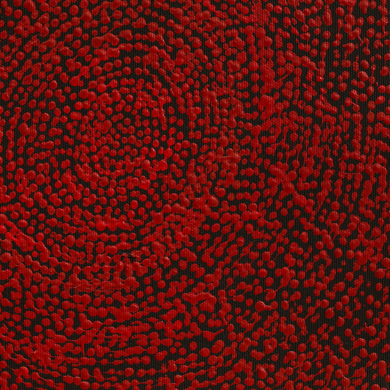 Aboriginal Artwork by Sarah Napurrurla Leo, Ngapa Jukurrpa (Water Dreaming) - Puyurru, 30x30cm