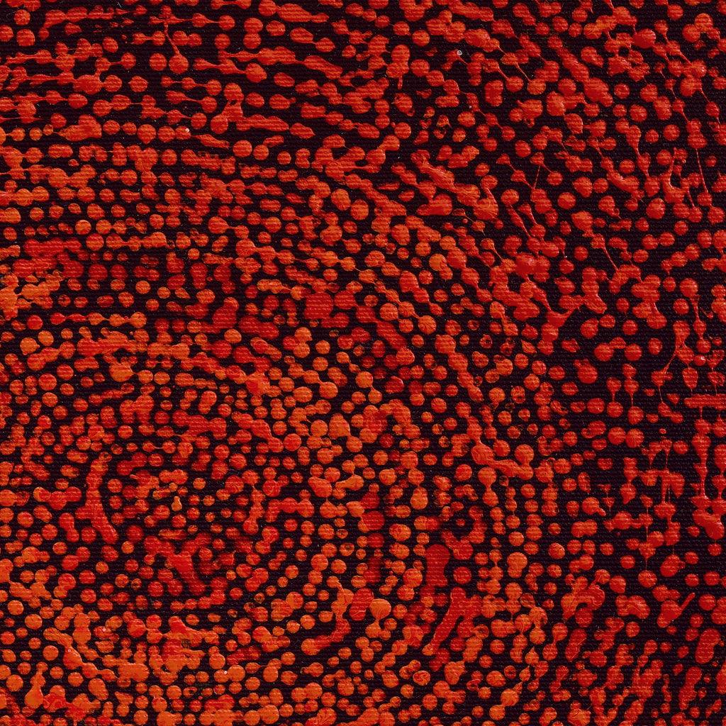 Aboriginal Artwork by Sarah Napurrurla Leo, Ngapa Jukurrpa (Water Dreaming) - Puyurru, 30x30cm