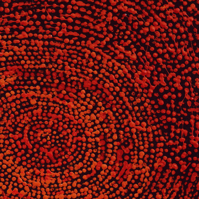 Aboriginal Artwork by Sarah Napurrurla Leo, Ngapa Jukurrpa (Water Dreaming) - Puyurru, 30x30cm