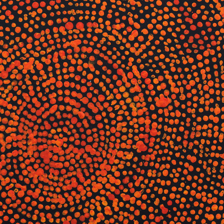 Aboriginal Artwork by Sarah Napurrurla Leo, Ngapa Jukurrpa (Water Dreaming) - Puyurru, 30x30cm