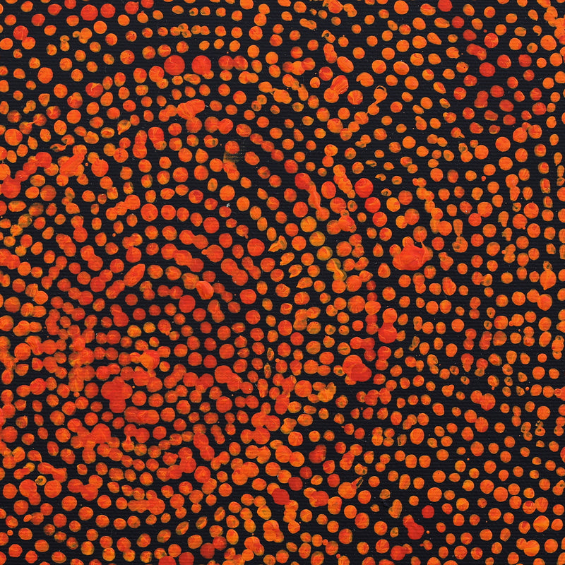 Aboriginal Artwork by Sarah Napurrurla Leo, Ngapa Jukurrpa (Water Dreaming) - Puyurru, 30x30cm