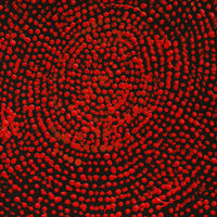 Aboriginal Artwork by Sarah Napurrurla Leo, Ngapa Jukurrpa (Water Dreaming) - Puyurru, 30x30cm