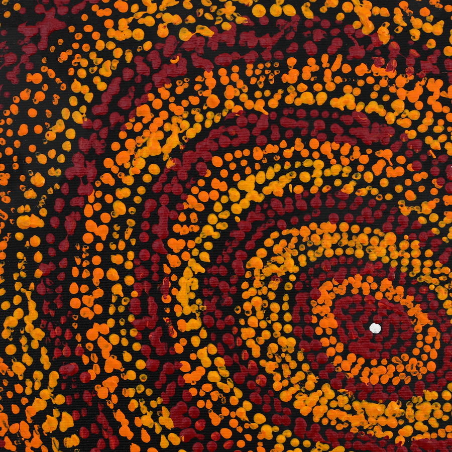 Aboriginal Artwork by Sarah Napurrurla Leo, Ngapa Jukurrpa (Water Dreaming) - Puyurru, 30x30cm