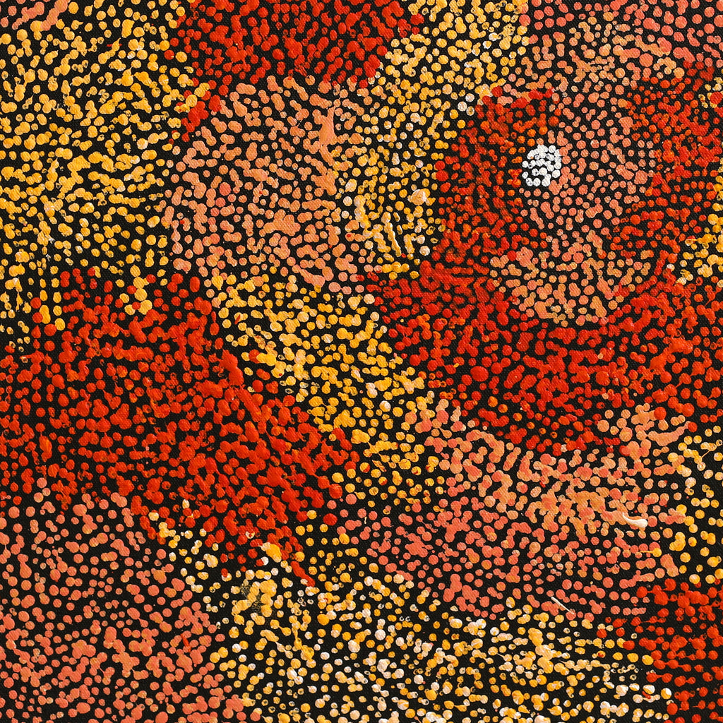 Aboriginal Artwork by Sarah Napurrurla Leo, Ngapa Jukurrpa (Water Dreaming) - Puyurru, 46x46cm