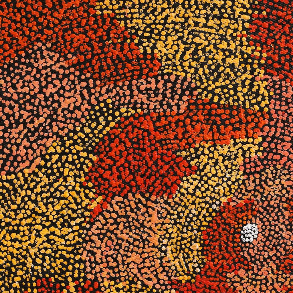 Aboriginal Artwork by Sarah Napurrurla Leo, Ngapa Jukurrpa (Water Dreaming) - Puyurru, 46x46cm