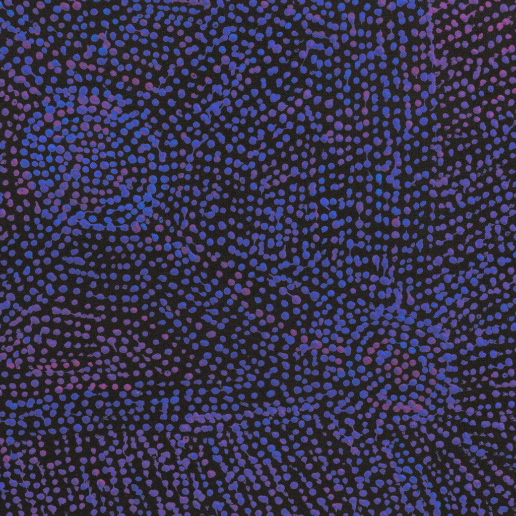 Aboriginal Artwork by Sarah Napurrurla Leo, Ngapa Jukurrpa (Water Dreaming) - Puyurru, 46x46cm