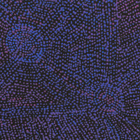 Sarah Napurrurla Leo, Ngapa Jukurrpa (Water Dreaming) - Puyurru, 46x46cm
