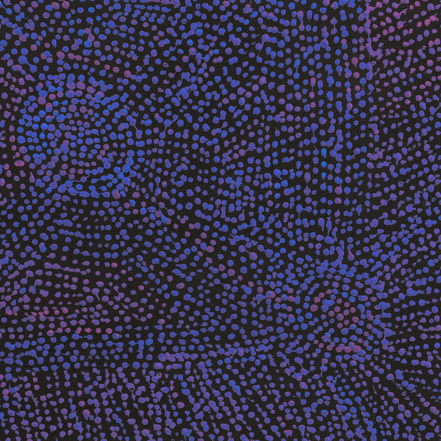 Sarah Napurrurla Leo, Ngapa Jukurrpa (Water Dreaming) - Puyurru, 46x46cm