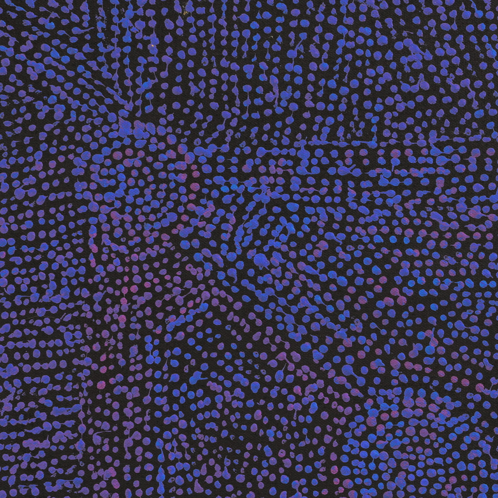 Aboriginal Artwork by Sarah Napurrurla Leo, Ngapa Jukurrpa (Water Dreaming) - Puyurru, 46x46cm
