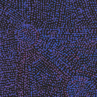 Sarah Napurrurla Leo, Ngapa Jukurrpa (Water Dreaming) - Puyurru, 46x46cm