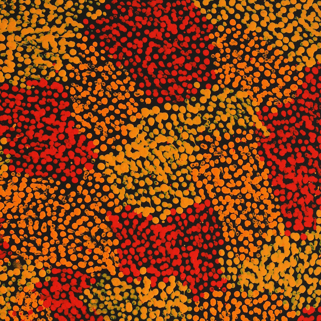 Aboriginal Artwork by Sarah Napurrurla Leo, Ngapa Jukurrpa (Water Dreaming) - Puyurru, 50x40cm