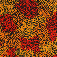 Aboriginal Artwork by Sarah Napurrurla Leo, Ngapa Jukurrpa (Water Dreaming) - Puyurru, 50x40cm