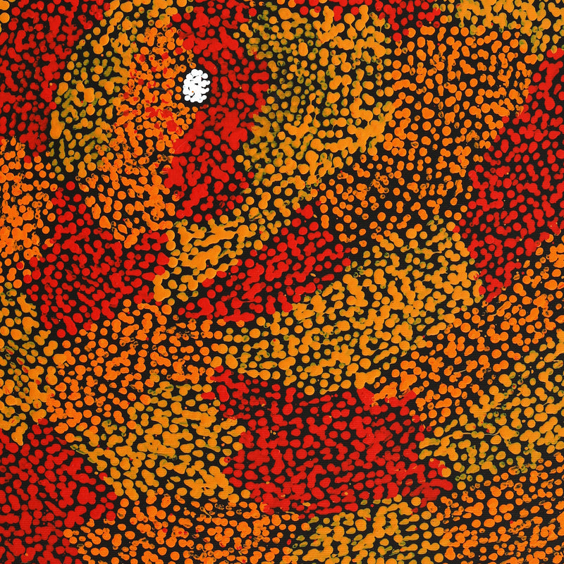 Aboriginal Artwork by Sarah Napurrurla Leo, Ngapa Jukurrpa (Water Dreaming) - Puyurru, 50x40cm