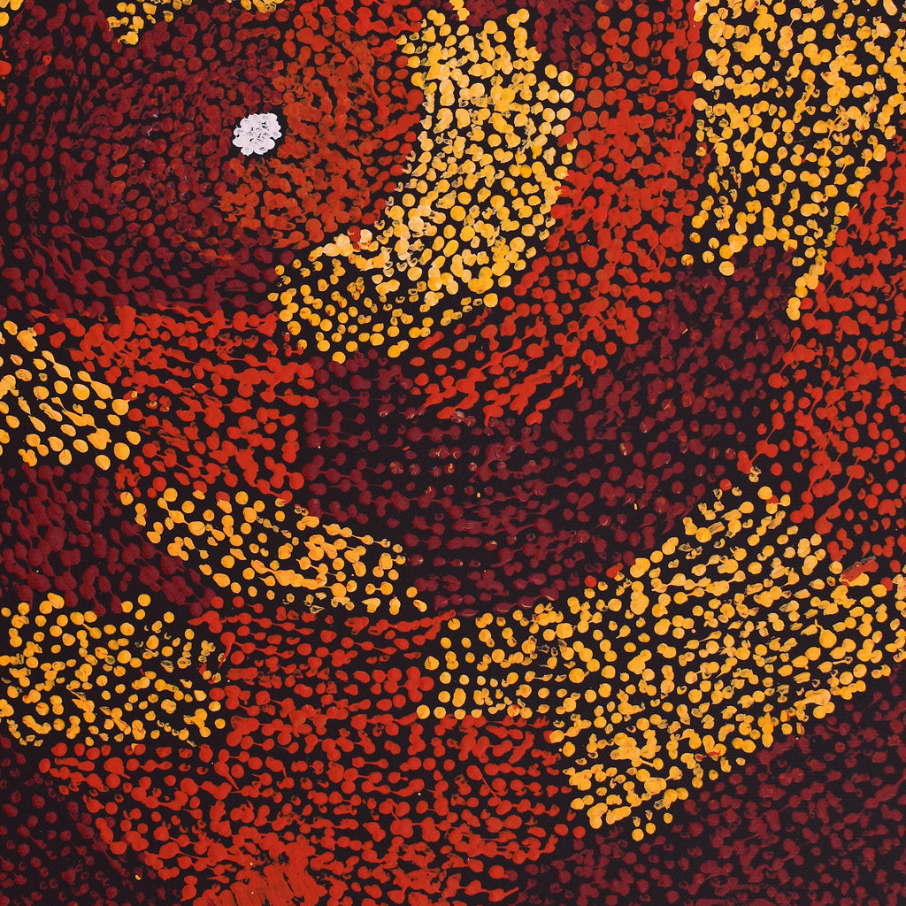 Aboriginal Artwork by Sarah Napurrurla Leo, Ngapa Jukurrpa (Water Dreaming) - Puyurru, 50x40cm