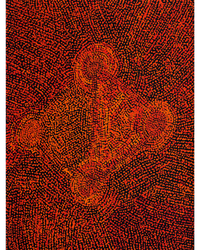 Sarah Napurrurla Leo, Ngapa Jukurrpa (Water Dreaming) - Puyurru, 61x46cm