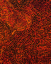 Sarah Napurrurla Leo, Ngapa Jukurrpa (Water Dreaming) - Puyurru, 61x46cm