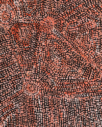 Aboriginal Artwork by Sarah Napurrurla Leo, Ngapa Jukurrpa (Water Dreaming) - Puyurru, 61x46cm