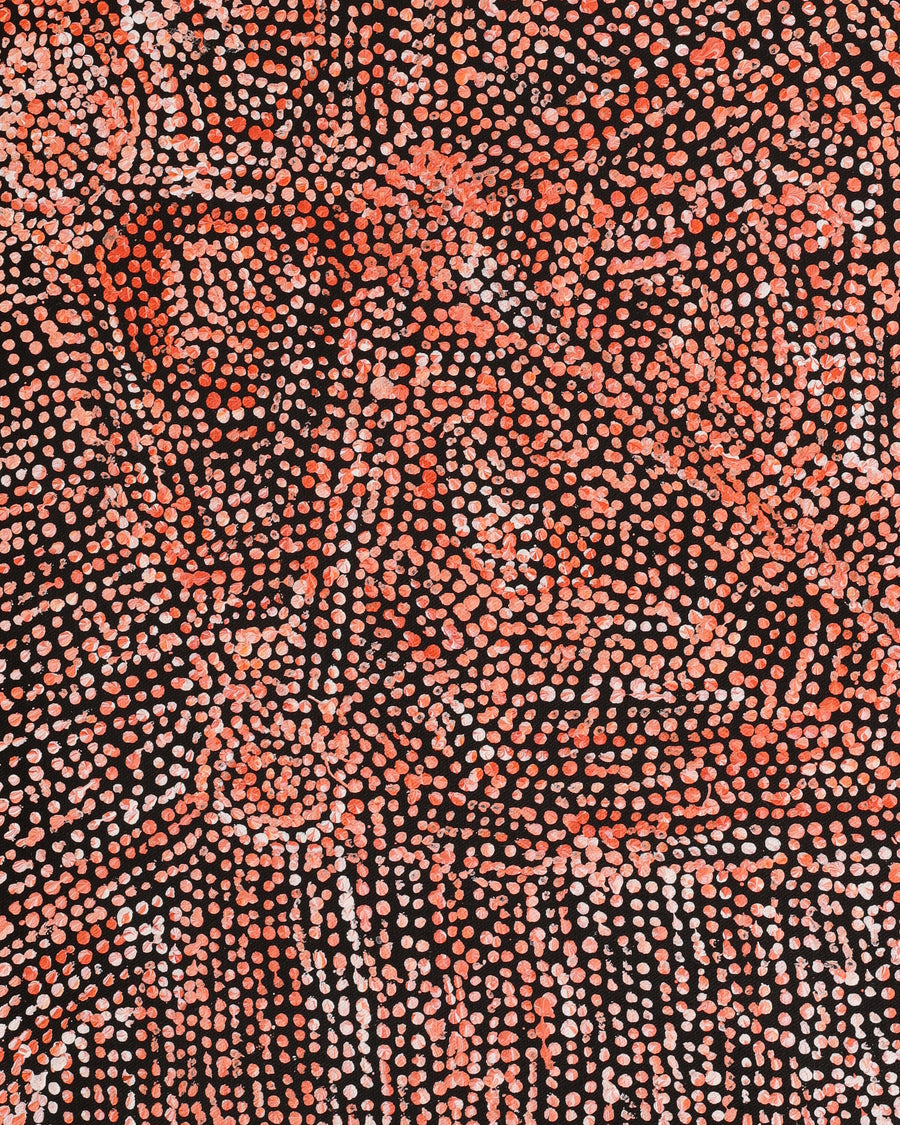 Aboriginal Artwork by Sarah Napurrurla Leo, Ngapa Jukurrpa (Water Dreaming) - Puyurru, 61x46cm